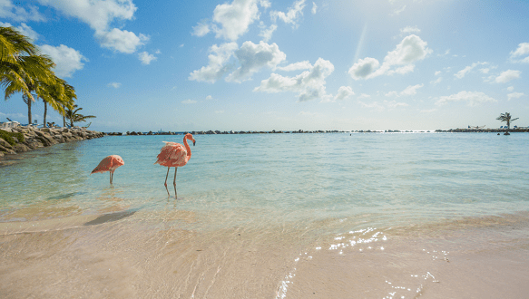 ilha de Playa Flamingo