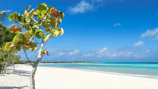Cayo Coco