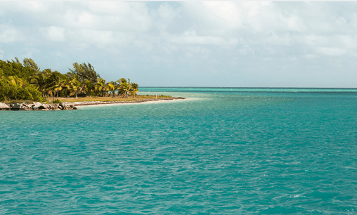 Cayo Saetia