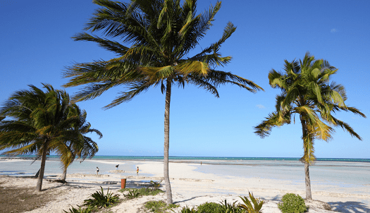 Tarará