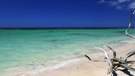 Cayo Jutias