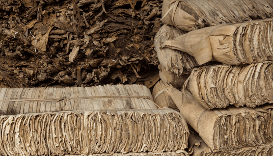 Fábrica de Tabacos Constantino Pérez Carrodegua