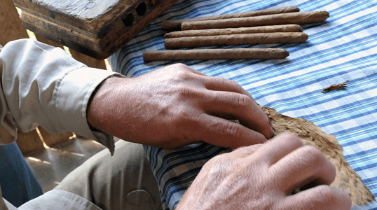 Fazenda de tabaco