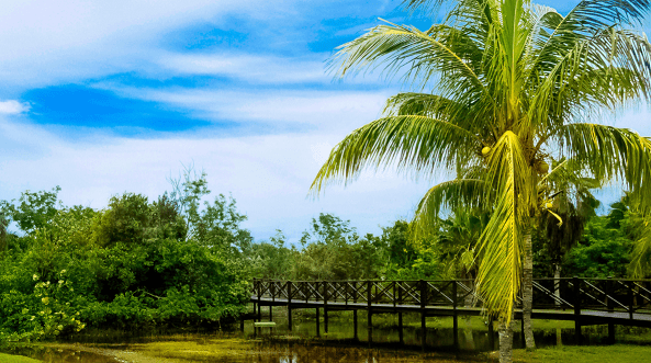 Ciénaga de Zapata em Cuba