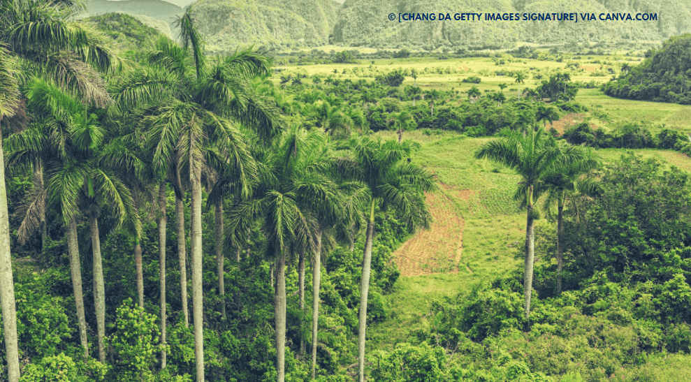 Vale de Viñales em Cuba