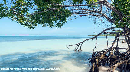 Qual melhor Cayo em Cuba
