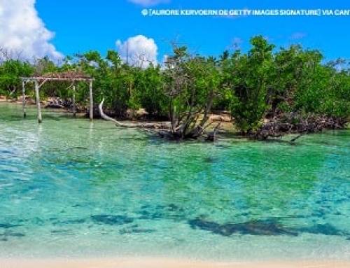 Reserva Ecológica de Cayo Coco