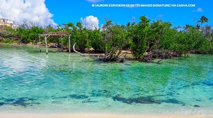 Reserva Ecológica de Cayo Coco