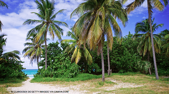 Paraísos Naturais de Cuba 